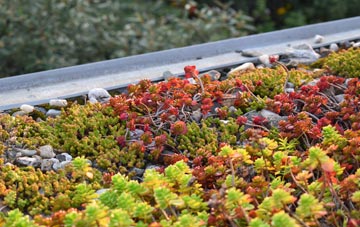 the cost of Goosemoor green roof installation