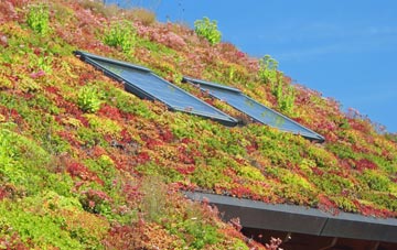 Goosemoor living roof systems