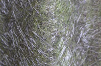 Goosemoor fibreglass roof work